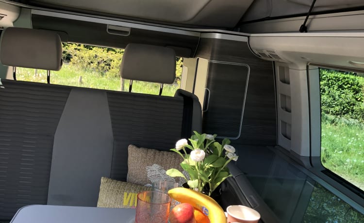 Volkswagen T6 California Ocean Camper del 2018