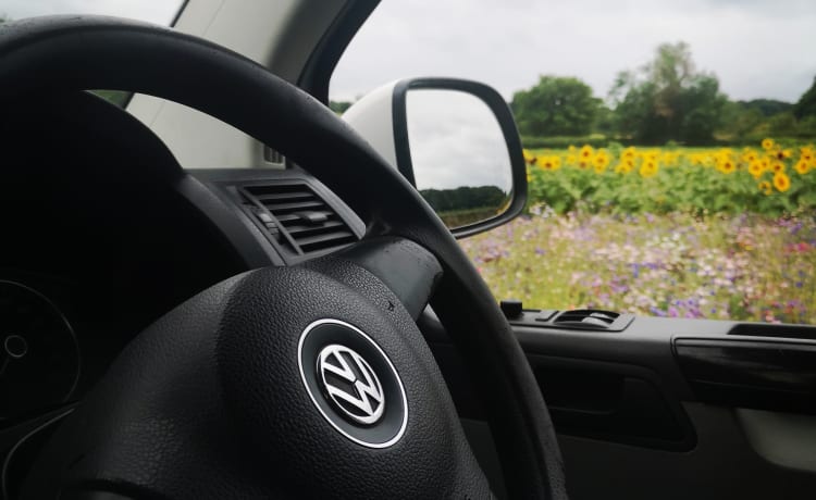 Daisy – 4 berth Volkswagen Camper Van (newly converted 2022)