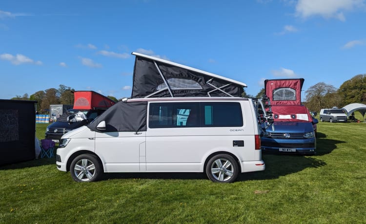 White Cali 2019 – Volkswagen Wohnmobil mit 4 Schlafplätzen aus dem Jahr 2019