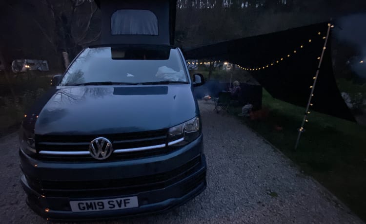 Bluey the Transporter Heeler – VW T6 Petrolblau, 4-Bett