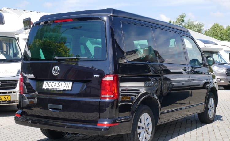 Volkswagen T6 Multivan 5 à 7 places avec toit relevable !