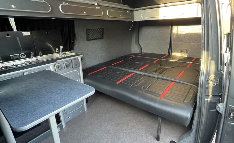 DIIXY – VW T6 Pop Top