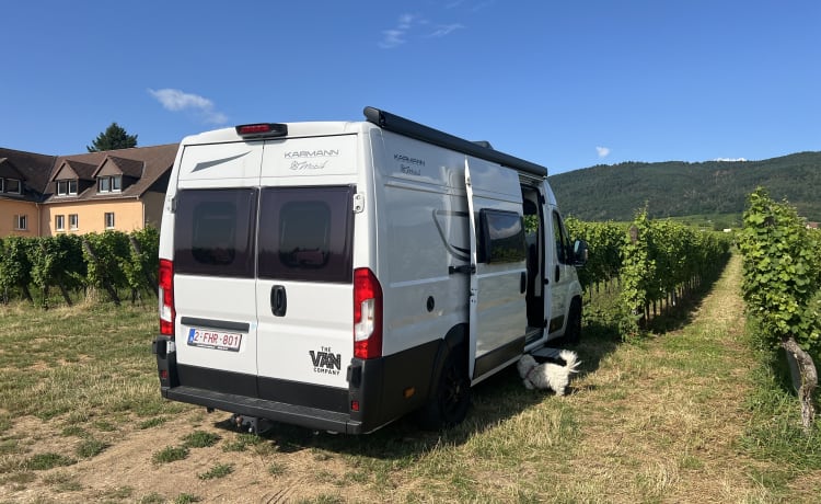 Bus Karmann Davis 620 bien équipé de 2022 à louer