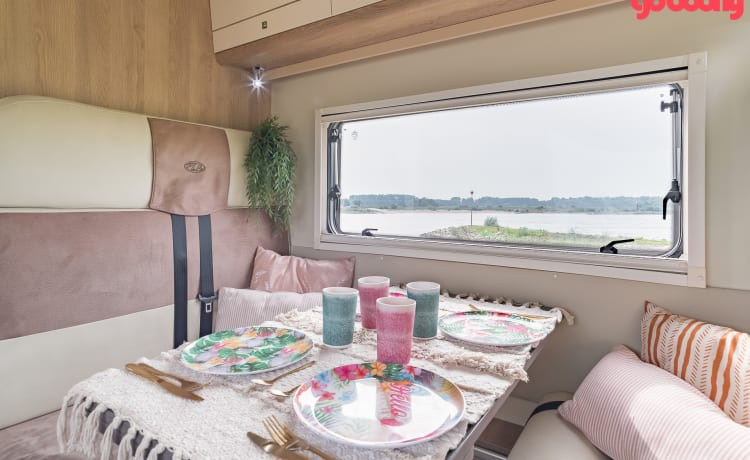 Fransie  – Luxe 5/6/7 persoons Alkoof camper uit 2017 : Fransie