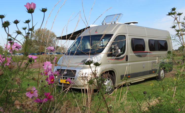 Rolmaatje – Beautiful Roller Team Livingstone bus camper (2.5p) for rent