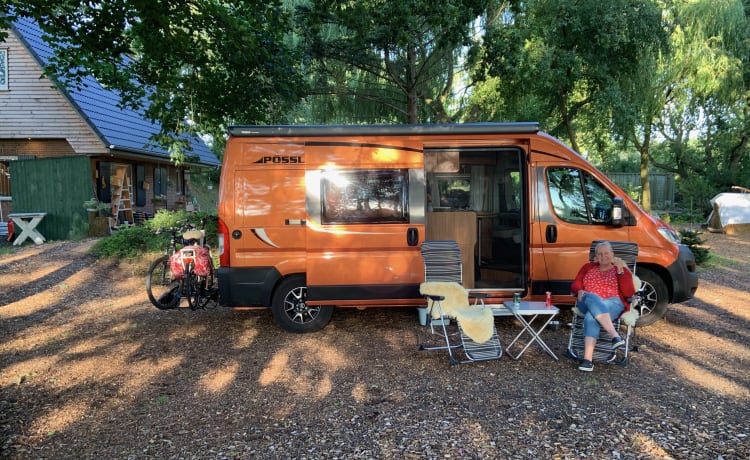 Oranje Boven – Pössl Camperbus 2 Win R Plus de 2019 avec 163 CV et Euro6