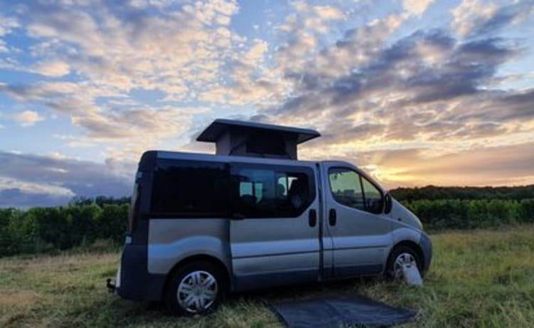 Viv – Handy and complete bus camper