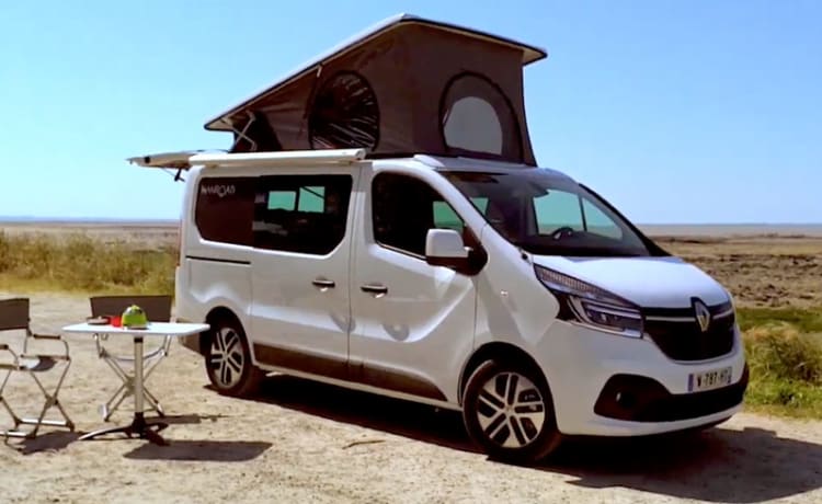 TREK 5 HANROAD – RENAULT TRAFIC