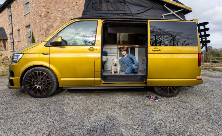 Goldbug – 4-persoons Volkswagen campervan uit 2019