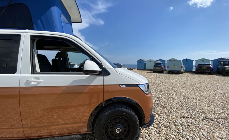 Camper per famiglie VW T6.1 vicino ai confini di Somerset, Devon e Dorset