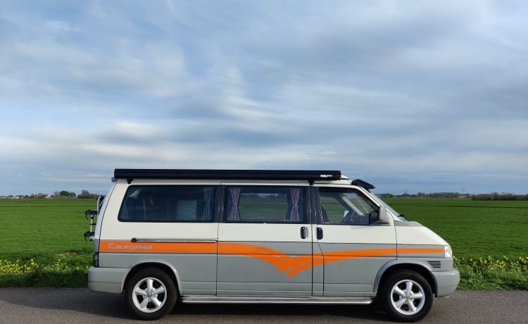 Willem – Classic VW Camper Bus