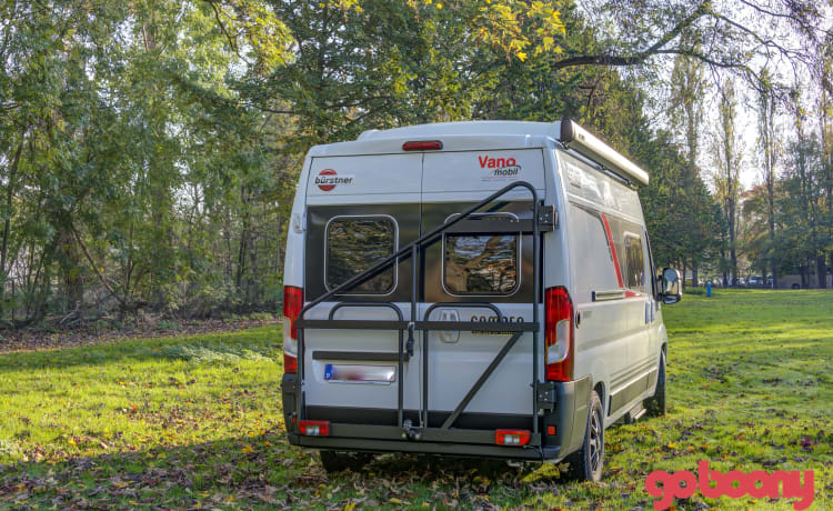 Den Burt – Brandneuer Burstner Bus Camper für 4 Personen