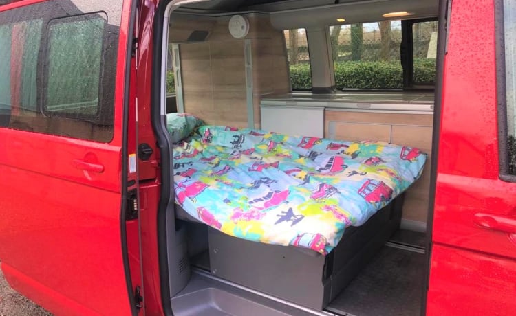 Liberty – 2022 VW T6.1 CALIFORNIA Camper 4 Posti letto - Automatico