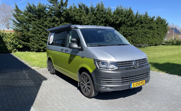 VW T6 – Aloha beach camper citron, très luxueux à l'intérieur