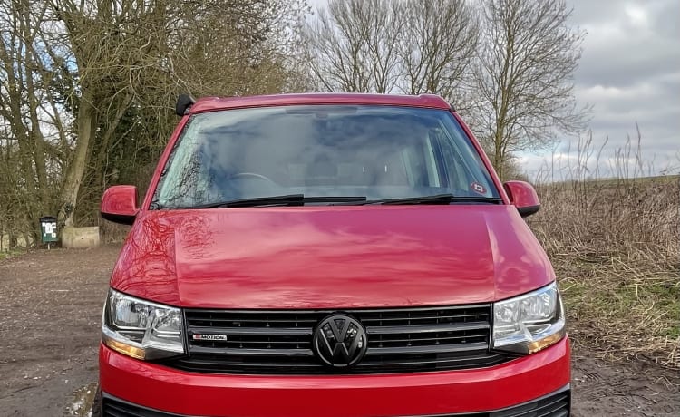 VW California ready for you!