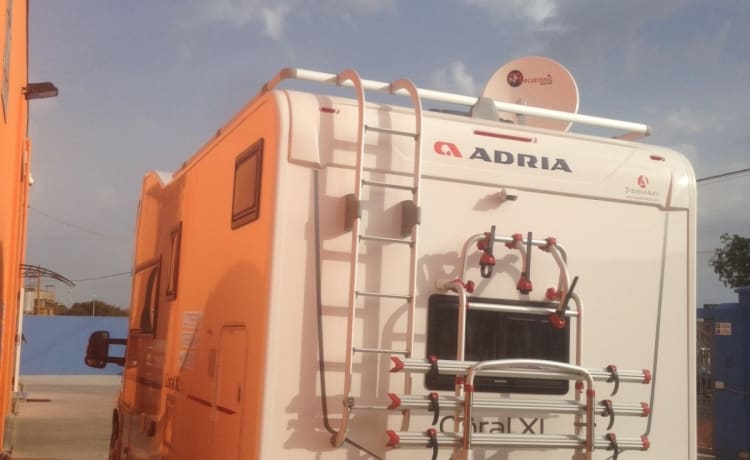 Adria Coral XL