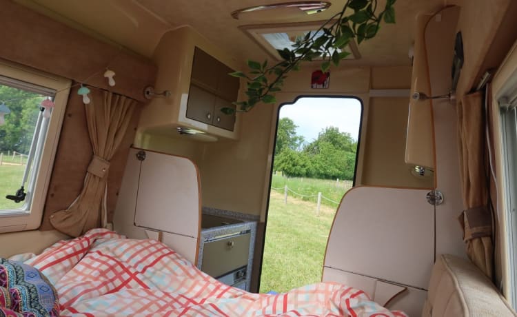 2 berth Peugeot integrated from 2012