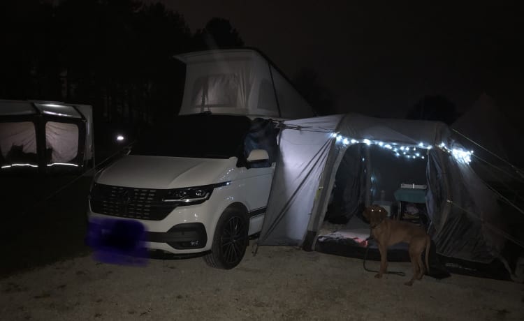 Paddy – 4 berth Volkswagen campervan from 2021