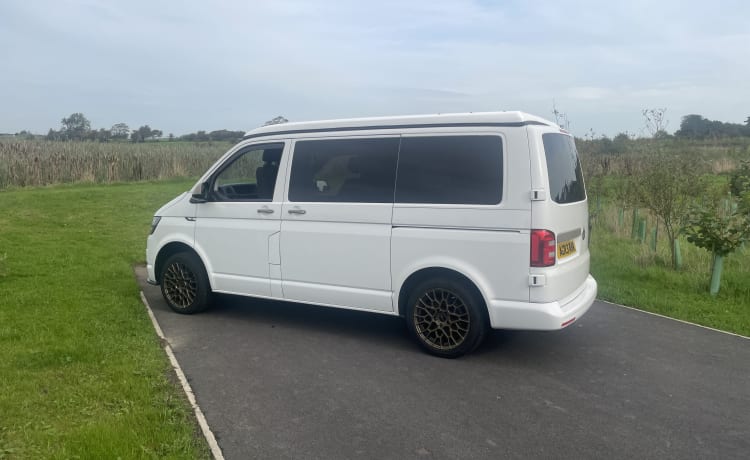 4 berth Volkswagen campervan from 2018