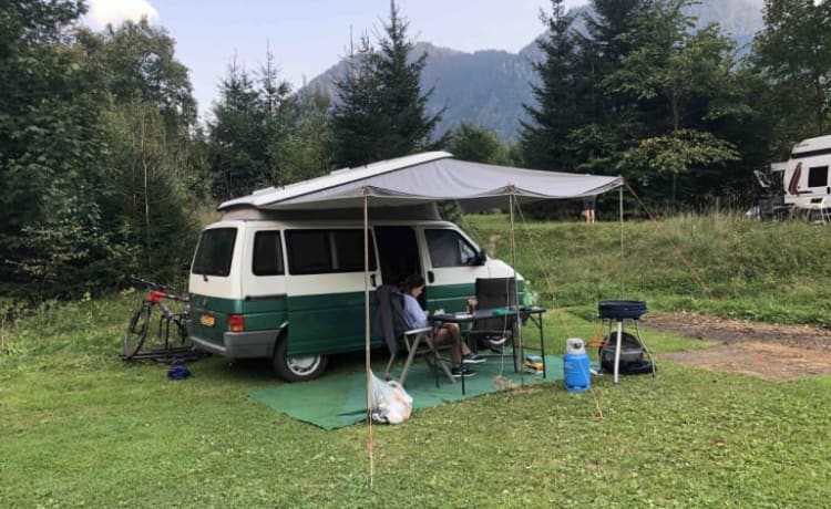 Bens Carli – VW Westfalia California