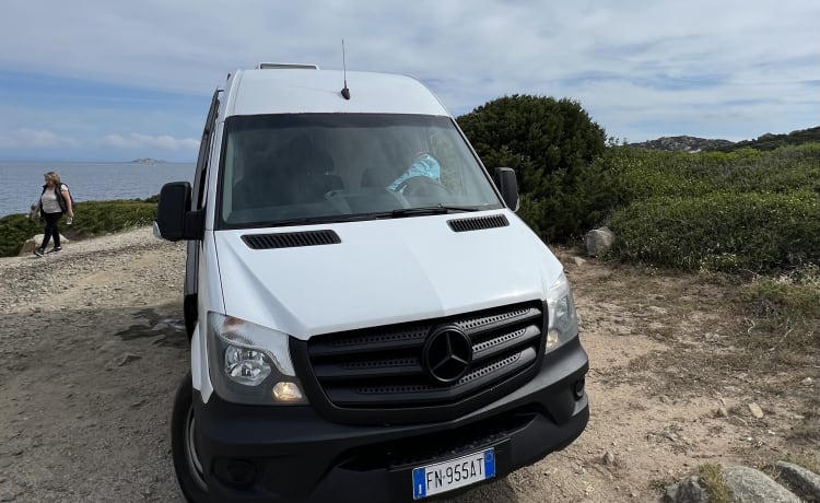 Sprinterone  – Van Mercedes Sprinter 