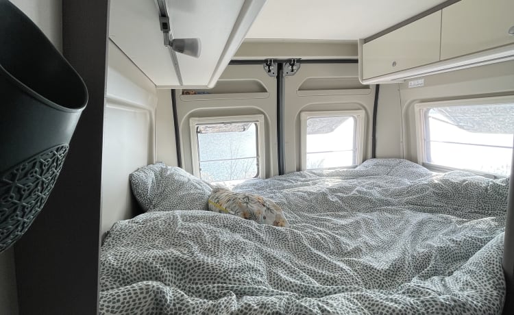 Nestor  – Converted van 4 people