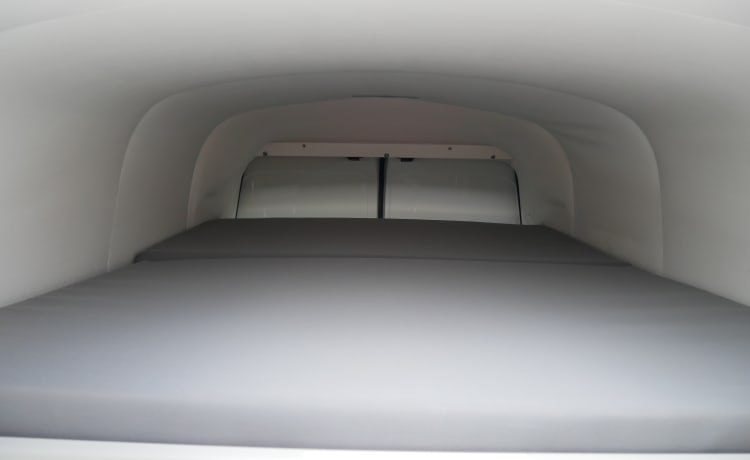 VW T5 GP California High roof from €99 p.d. - Goboony