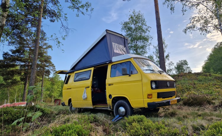 Volkswagen T3 unique de 1988 pour partir à l'aventure avec