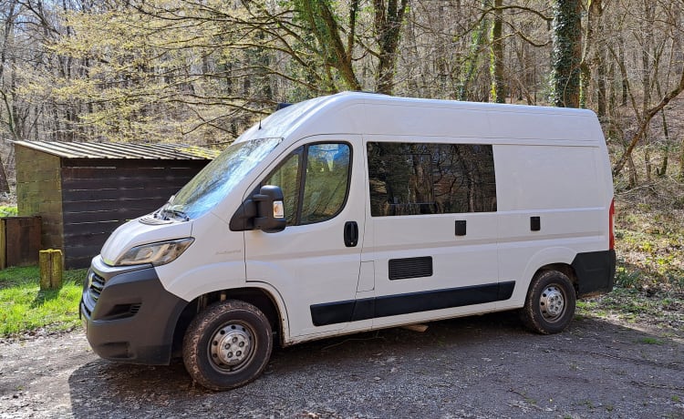 Autobus Fiat 2p à partir de 2020