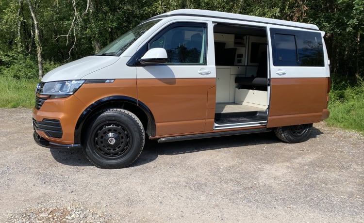 Camper per famiglie VW T6.1 vicino ai confini di Somerset, Devon e Dorset