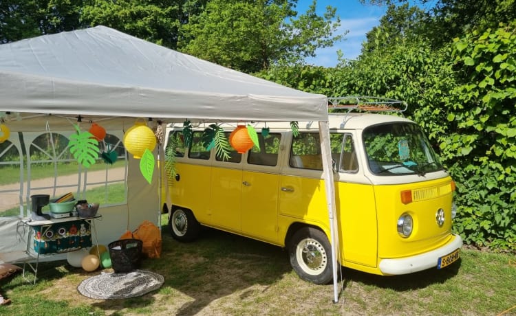 2p Volkswagen campervan uit 1979