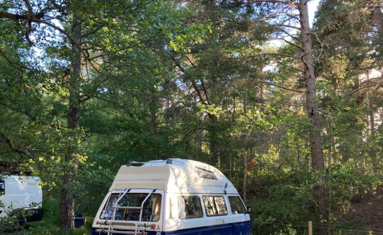 Blue – 1986 Volkswagen Camper 