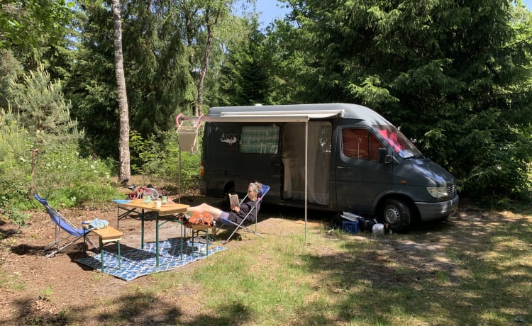 Gerrie – Droombus voor topvakantie! 2p Mercedes-Benz camperbus 5,5 meter