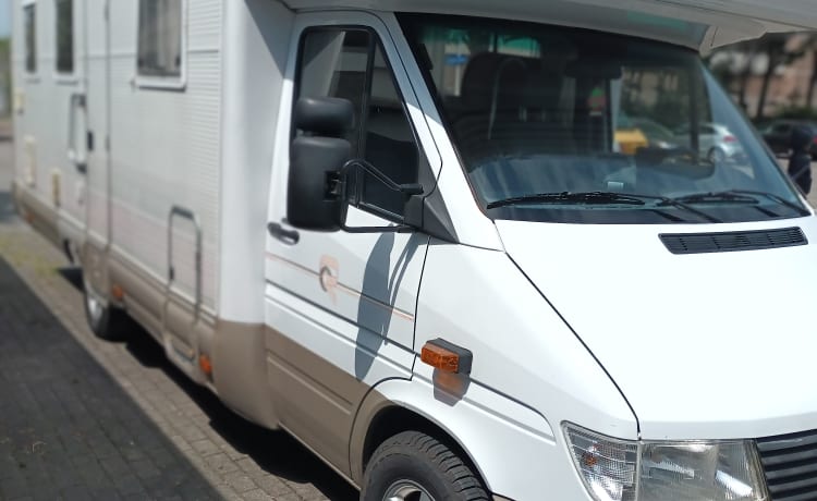 Biggie Waggie – Geräumiger Mercedes / Rimor 748 Familiencamper