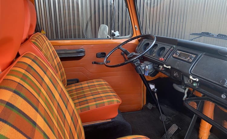 Bus Texas – Volkswagen T2b, 1974