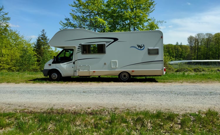 Camper familiare adorabile e confortevole! Alcova Sunlight, 5 persone (2010)