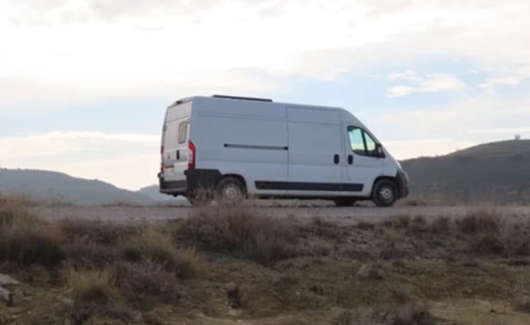 Boomer – 2p Fiat campervan from 2013