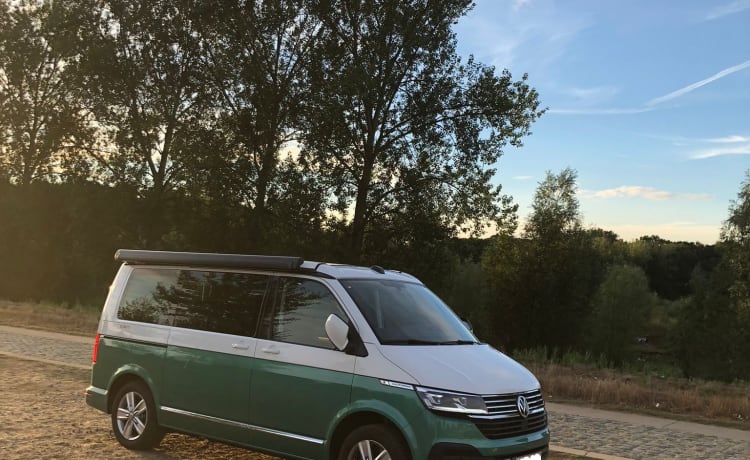 Kampie – Volkswagen California Ocean automatico