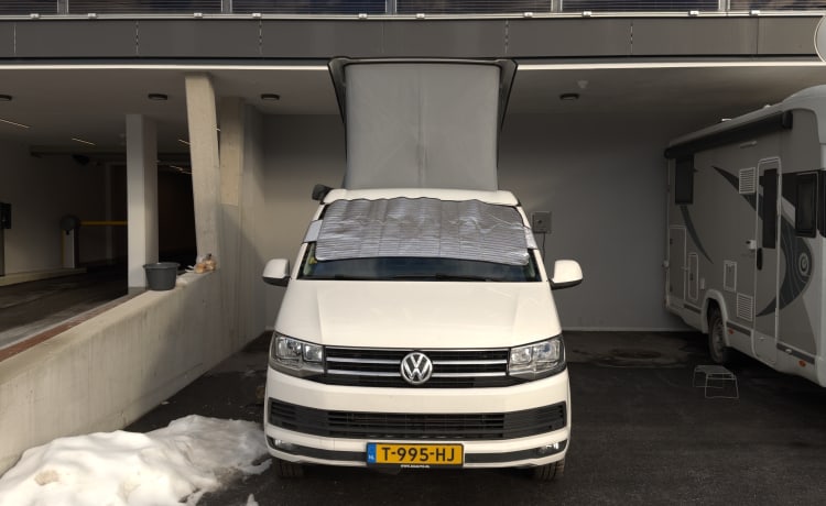 Cali  – Volkswagen California T6 (Fabriekscamper, origineel)