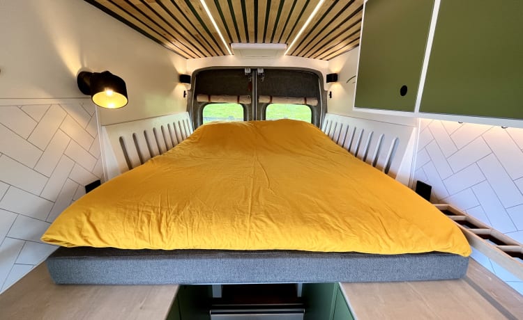 Henry – Beau camping-car accueillant. Parfait pour l'aventurier et le nomade numérique !