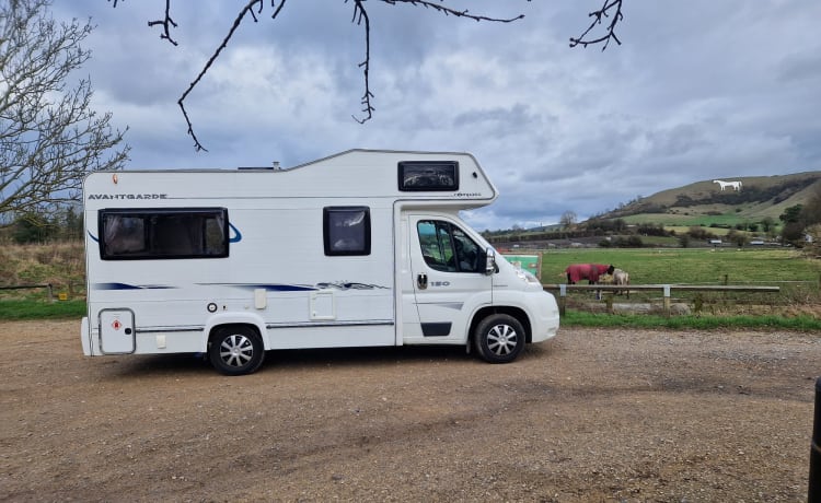 AMY – 4 berth Peugeot alcove from 2007