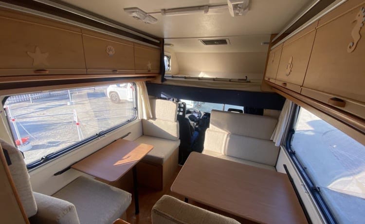 Dookie – CARIOCA DUCATO 6 BEDDEN