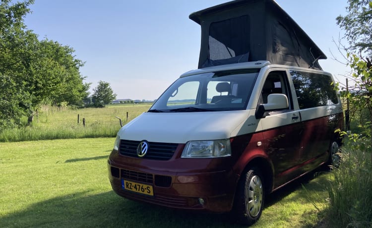 Guus (dan denk je aan brabant) – Volkswagen T5 rouge et blanc