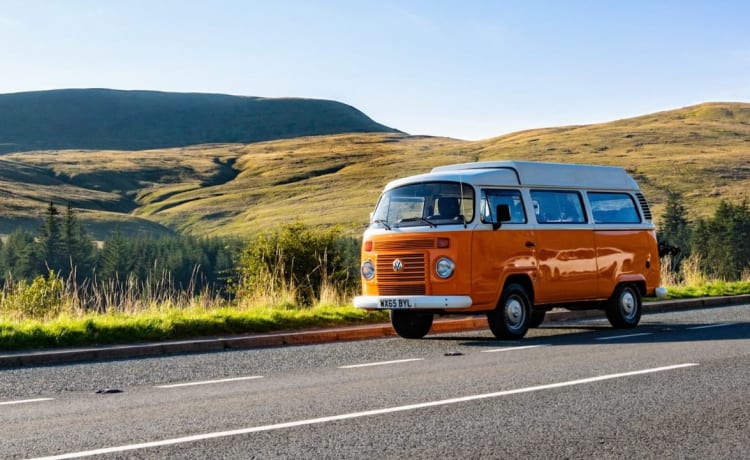 Terry – Terry - Retro VW T2 Bay Window Camper!