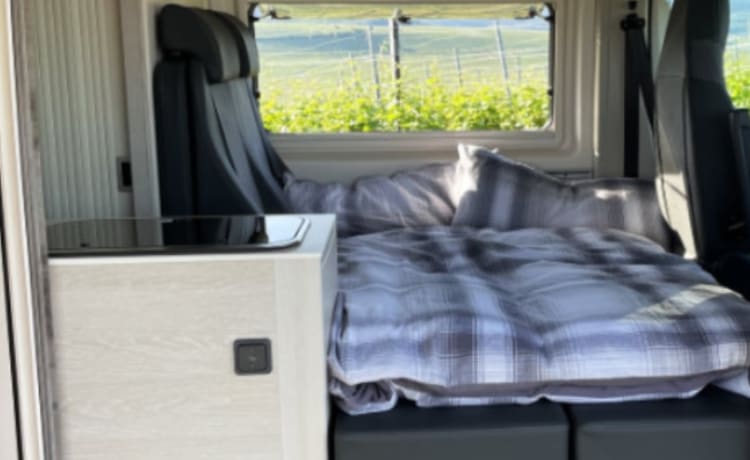 Tournie  – Very luxurious Tourne bus camper