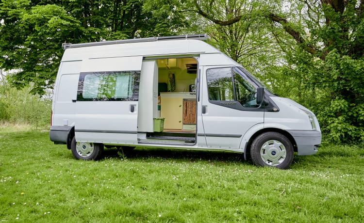 De Groenling – Camper bus ben guidabile per 2 pers. con bei mobili in affitto