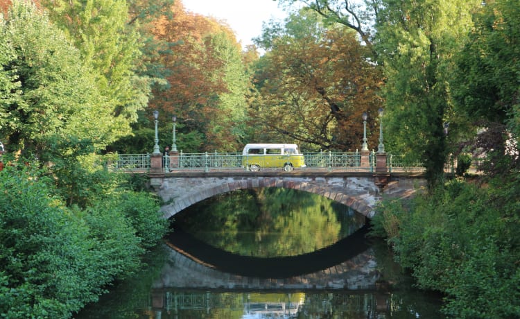 Sanseveria – Volkswagen T2b Westfalia Berlino '77