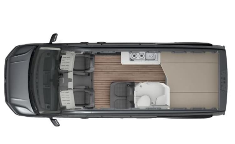 The Holiday Van – Neuf - VW Grand California - 4 Couchettes - Inclut Douche, Toilettes et Cuisine