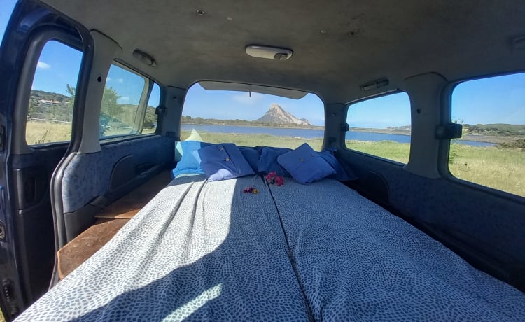 VANTASTIK RENTAL CAMPERVAN – VANTASTIK VERMIETUNG WOHNMOBIL