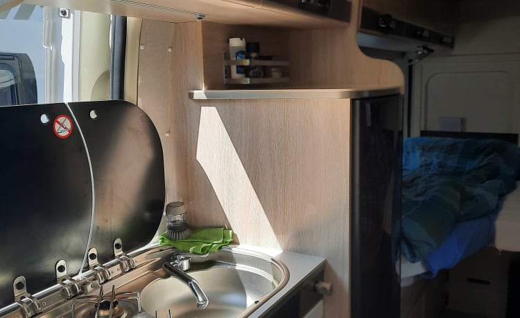 2p Rapido Bus camper from 2018